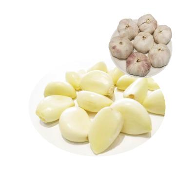 China Fresh Cultivated Fresh Garlic Packaging Peeled Garlic Prices for sale