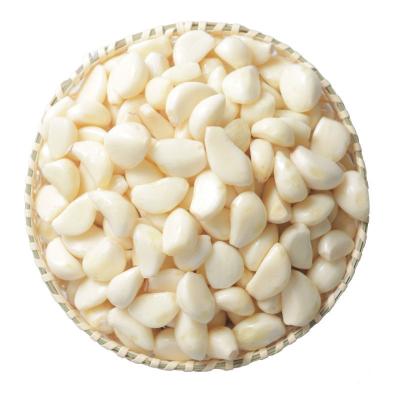 China Fresh Factory Directly Supply High Quality Fresh Nitrogen Packing Peeled Garlic for sale