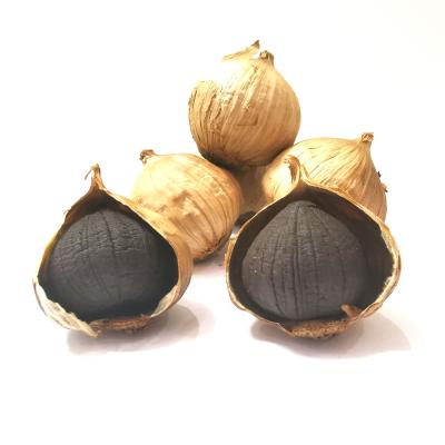 China 2021 New Health Chinese Organic Multiple Cloves Fresh Black Garlic for sale