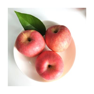 China Good Selling High Quality Hot Fresh Taste Apple Cheap Apple Fruit For Low Price for sale