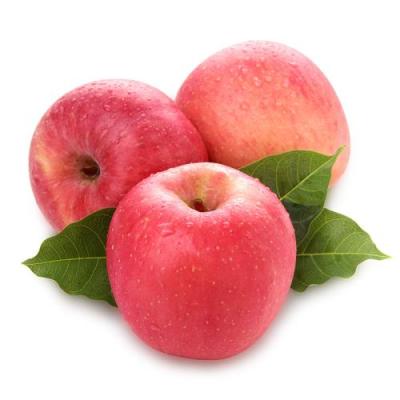 China Factory supply fresh hot sale fresh fruit Fuji apple for sale