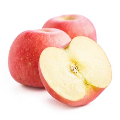 China Best Fresh Wholesale Price Fuji Red Fresh Apple Fruit for sale