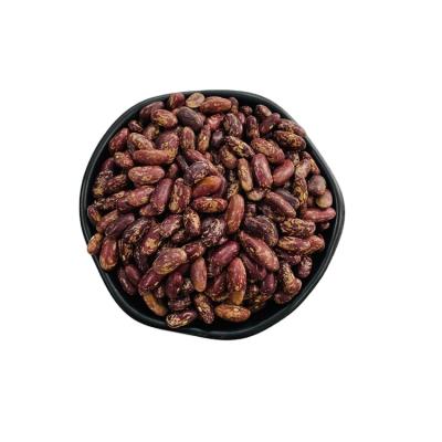 China Health and nutrition dry purple spotted bush beans for sale for sale