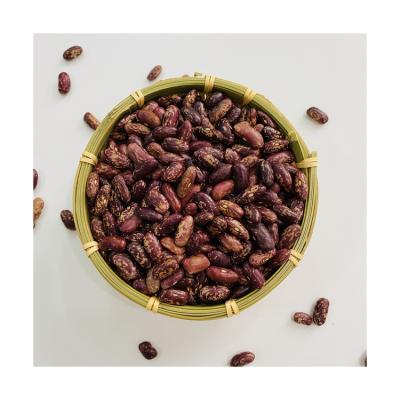 China 2021 Hot Sale Dried Wholesale High Quality Purple Spotted Kidney Beans for sale