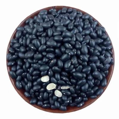 China High Quality Nutrition Dry Natural Black Kidney Eyed Beans for sale