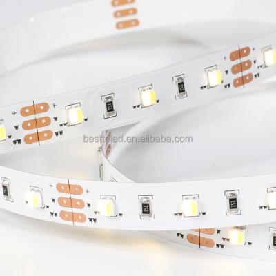 China Residential Super Bright Dual Color 24V Adjustable White Bicolor Led Strip With 120leds 2 In 1 SMD3528 for sale