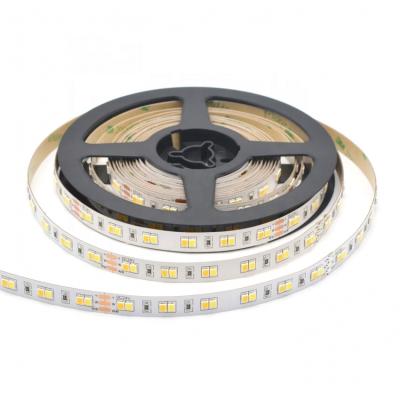 China Hotel 2021 hot sale 24v pcb constant current smd 120leds 2835 10mm wide cuttable led strip single white for decoration for sale