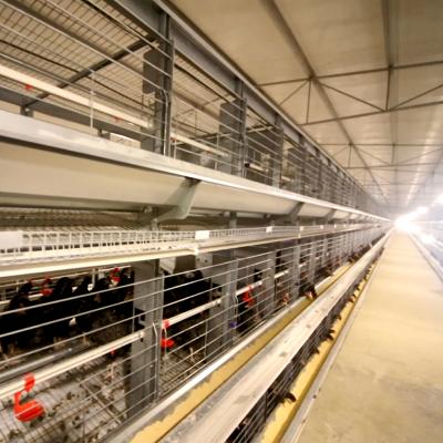 China Farms 2021 hot sale H type fully automatic layer chicken cage chicken cage system for sale for sale