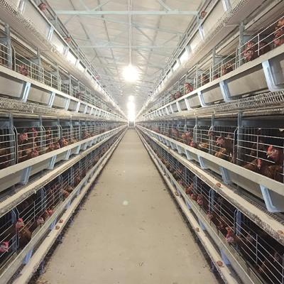 China Anti-Corrosion Layer Chicken Cage Chicken Cages Egg Layer Poultry Farm Layer Cages Zimbabwe for sale