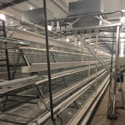 China Chicken Layer Farms Chicken Cage Design Battery A Type Layer Chicken Cage For Sale for sale