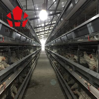 China Farms H Type Automatic Layer Chicken Layer Chicken Poultry Cage Factory Manufacture H Type Cage for sale