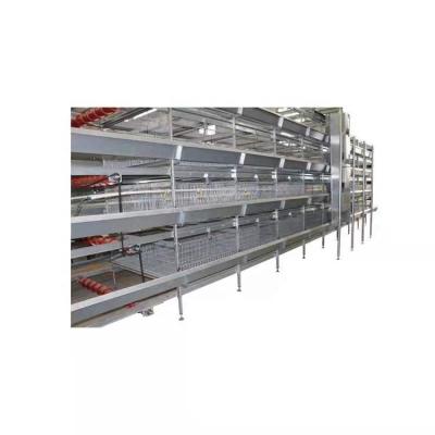 China Farms Hot Selling H Type Broiler Cage Automatic Broiler Feeding Equipment For Broiler Chicken Cage for sale