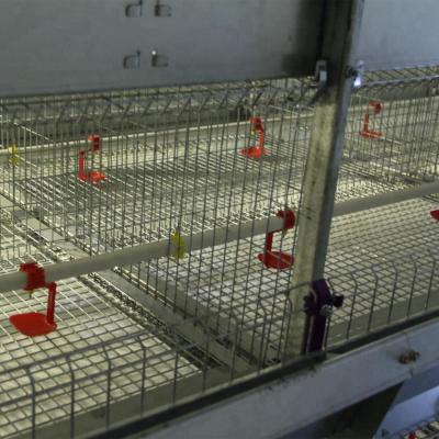 China Breeder Hua xing the H type automatic battery chicken cage farm equipment broiler chicken cage for sale for sale