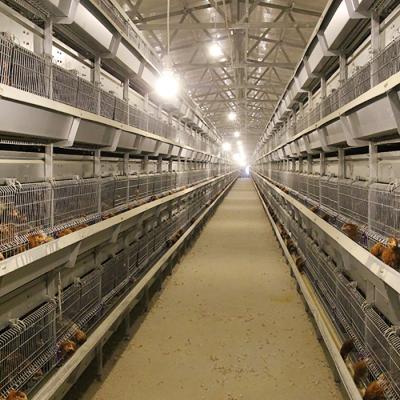 China Eco - Friendly Industrial Layers Breeding 1 Day Old Chicks Metal For Baby Chicken A Pullet Rearing Cage for sale