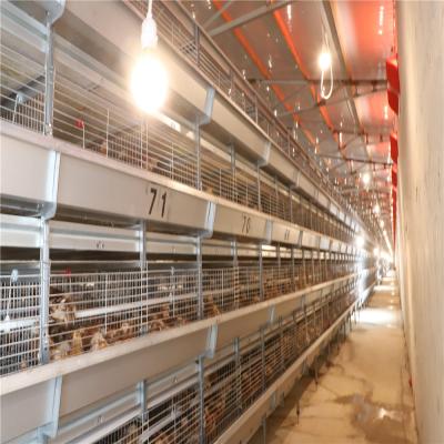 China Day-old Chicks Pullet Cage Battery Baby Chicks Brooder H Type Anti-Corrosion Cage for sale