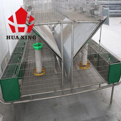 China Good Quality Poultry Chicken Birds Chicken Breeding Layer Egg Collection System Feeding Equipments With Drinking And Feeding Machine for sale