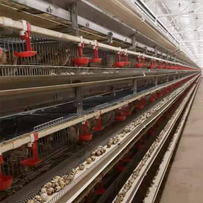 China Quail Breeding Cage Egg Laying Battery Automatic Hot Galvanized Quail Cage Modern Layer Quail Poultry Equipment for sale