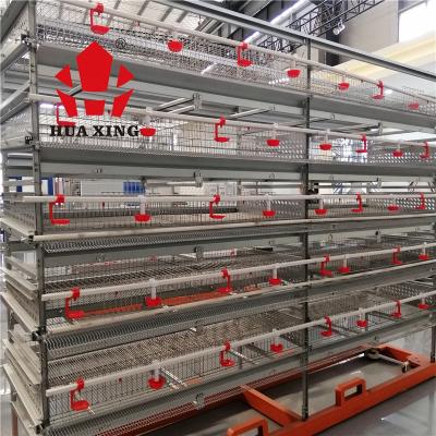 China New High Layer Quail Cage Equipment Full Automatic Corrosion Resistance Design H Type Quail Cage for sale