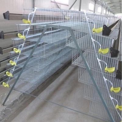 China Cultivate One Type Hot Galvanized Egg Laying Quail Poultry Cage For Commercial Layer Hen Quail Farm for sale