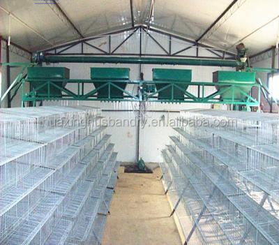 China Quail Battery Quail Raising Cage For Poultry Layer Quail Farm for sale