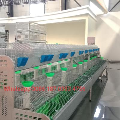 China Poultry Rabbit Farm Poultry Farm Poultry Field 2020 Good Quality Automatic Rabbit Cage Cheap Price for sale