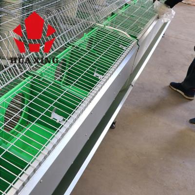 China Cultivate Europe 2021 Style Automatic Battery Automatic Rabbit Cage for sale