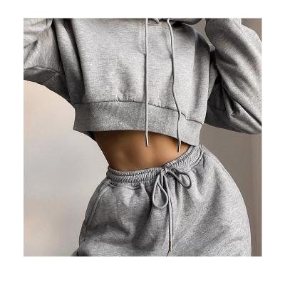 China QUICK DRY fashion plus size women's short top fleece hoodie suit women's sports casual suit for sale