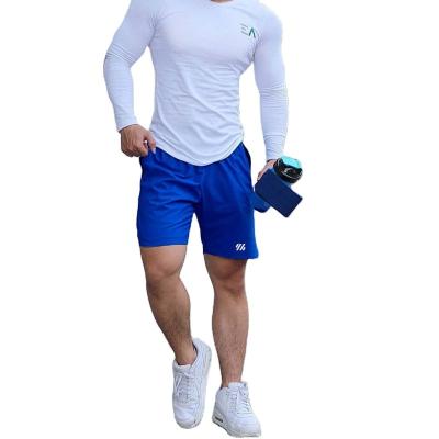 China 2022 Summer Sports QUICK DRY Short Pants Running Mesh Exercising Quick Dry Fitness Shorts Five Point Pants Men's Pants Big for sale