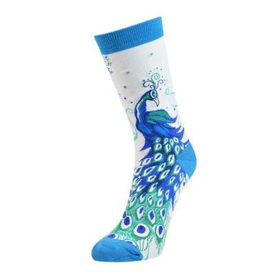 China Novelty design /Combed cotton blend with spandex are soft and durable/everyday sock fashion sock for sale