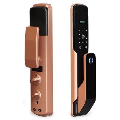 China household zinc aluminum alloy smart lock fingerprint password unlock to detect alarm work app control door lock DL-11012 for sale