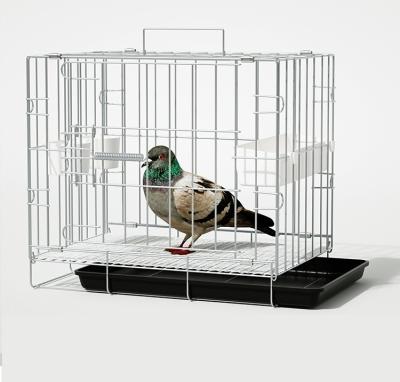 China Viable Wholesale Fashionable Folding Bird Cage Neworld Large Pet Bird Metal Breeding Parrot Cage for sale