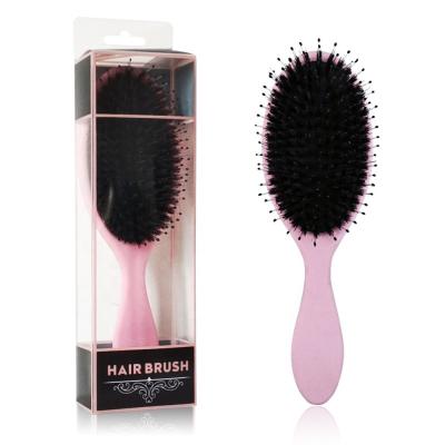 China Waterproof Small Order Accept Private Label Soft Boar Bristle Brush Cushion Extension Hair Brush for sale