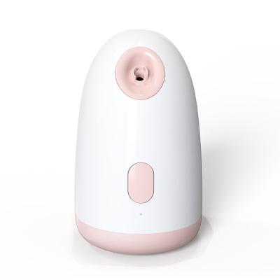 China High Quality Professional Moisturizer Custom UV Lamp Face Steam Machine for sale