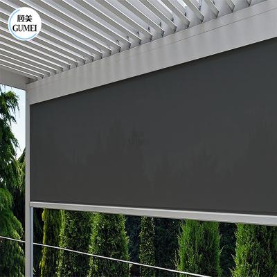 Cina Hot Sale Outdoor Sunshade Shade Aluminium Windproof Garden Motorized Roller Shades Blinds in vendita