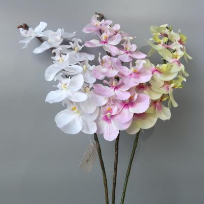 China Real Touch Home Latex Big Butterfly Flower Artificial Orchids Flowers Orchids Large Size Handmade Silk Wholesale Stem for sale