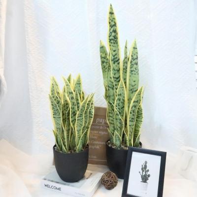 China Sansevieria Plant Snake Greenery Decorations Decor Plastic Artificial Plants Real Handmade Faux Natural Home Touch for sale