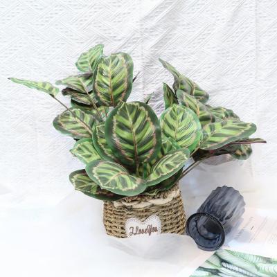 China Handmade Artificial Foliage Faux Stems Real Touch Silk Leaves Plastic Plants Bushes Peacock Arrowroot Decorative Greenery for sale