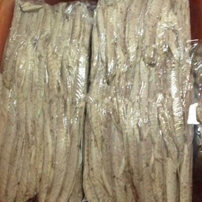 China Frozen Precooked Mackerel loin for sale