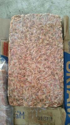 China Frozen Krill for sale