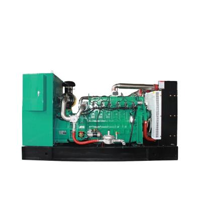 China South African Market 160kw 200kva YDNPOWER Biogas Generator YDN-160 for sale