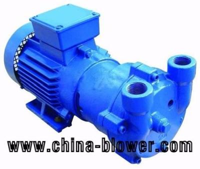 China 2BV5161 Vacuum Water Ring Vacuum Pump for sale