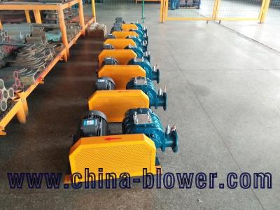 China High quality cast iron three lobe type roots blower for water treatment better than SHOWFOU for sale