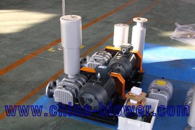 China Cast Iron Manufacture of Roots Blower Aerators and Blower with better cost performance than Tuthill for sale