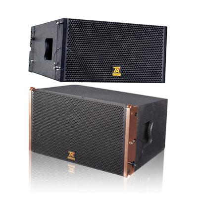 Cina TA PA10 Outdoor Rechargeable Speaker Audio Sound Equipment Indoor/Outdoor Sound System in vendita