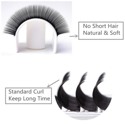 China Top Quality Natural Black And 0.05mm Long Natural Eyelash Extensions 0.07mm Can Customized To Make Up for sale