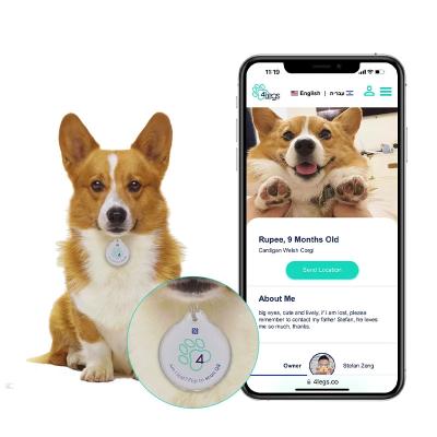 Chine Étiquette personnalisée modifiable personnalisée NFC personnalisée mise à niveau Suivi des animaux de compagnie en blanc Étiquettes NFC époxy à vendre