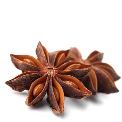 China Hot Selling Special Popular Whole Sun Dried Single Herbs and Spices Universal Seasoning Dry Spicy Star Anise Star Anise Star Anise for sale