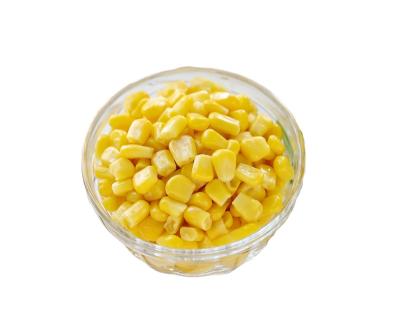 China Original Max Animal Style Storage Color FROZEN High Quality Yellow Type Corn Dried Grade Product Place Corn MOISTURE Condition for sale