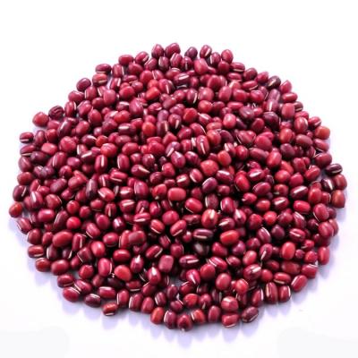 China New Listing Good Quality Dry Support Bulk Freeze Dried Kidney Beans Custom Made for sale