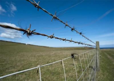 China Galvanisierter Stahlfeldzaun für einen verbesserten Schutz von Bauernhof und Garten zu verkaufen